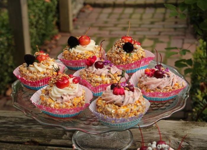 cupcakes voor vogels canva