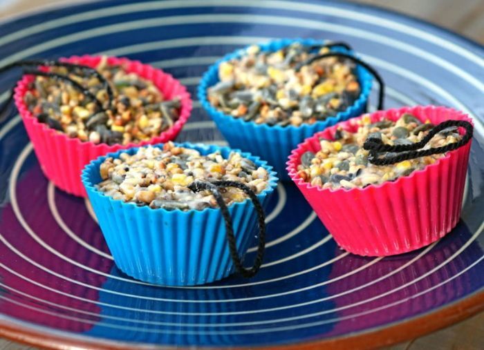 cupcakes voor vogels canva 2